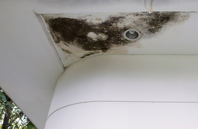 Is Mold on the Exterior of Your Home a Cause for Concern | Burke's Restoration Blog